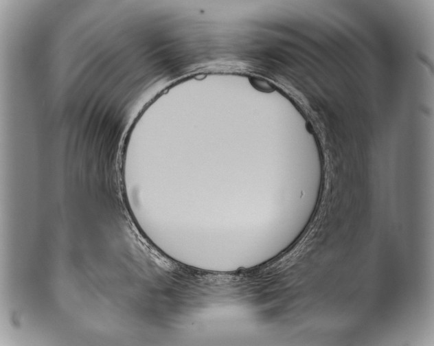 X0000100321248200806261219