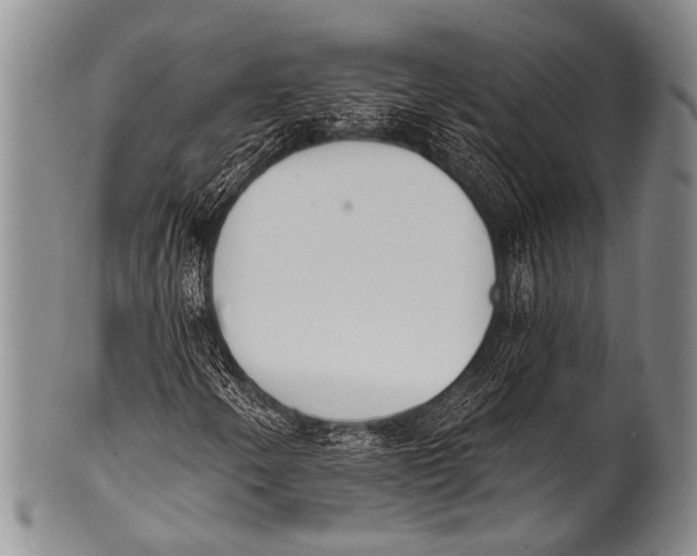 X0000100321250200806261218