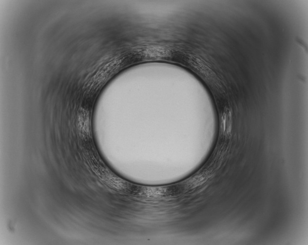 X0000100321251200806261218