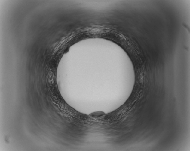 X0000100321253200806261218