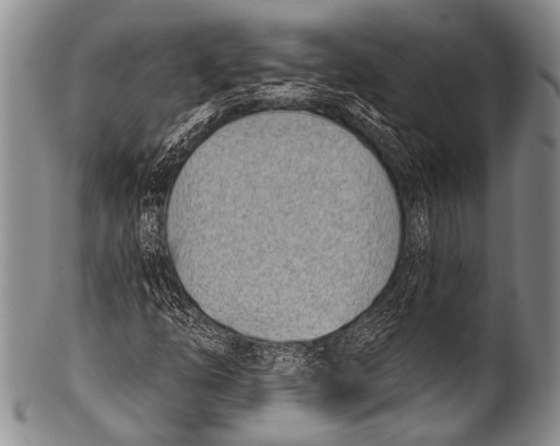 X0000100321254200806261218