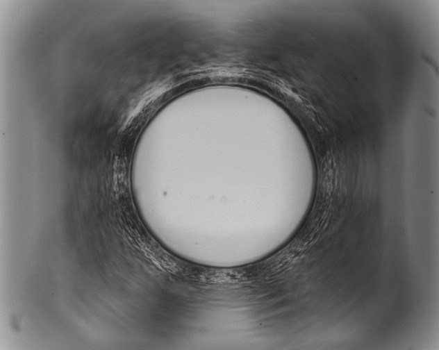 X0000100321255200806261218