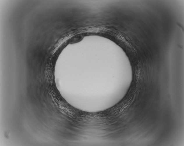 X0000100321256200806261218