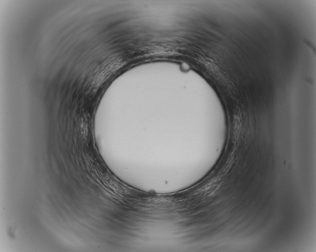 X0000100321257200806261218