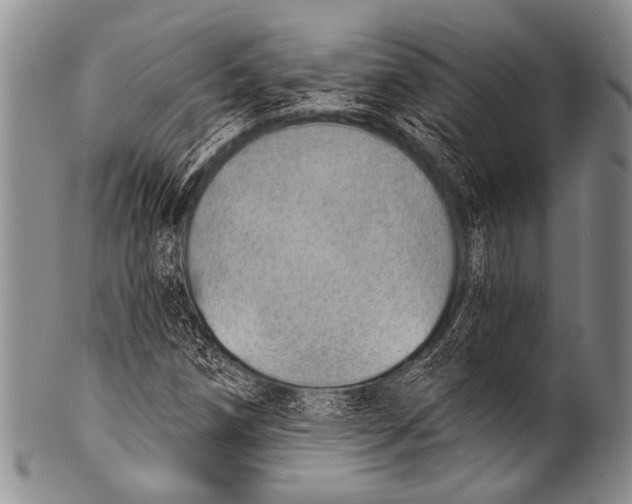 X0000100321258200806261218