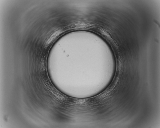 X0000100321259200806261218