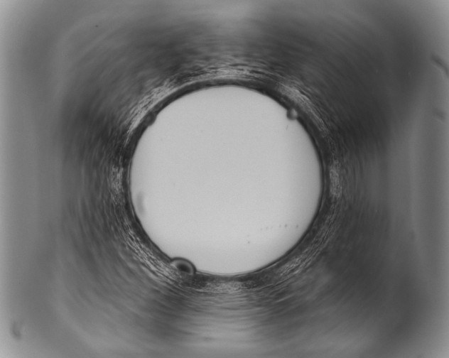 X0000100321260200806261218