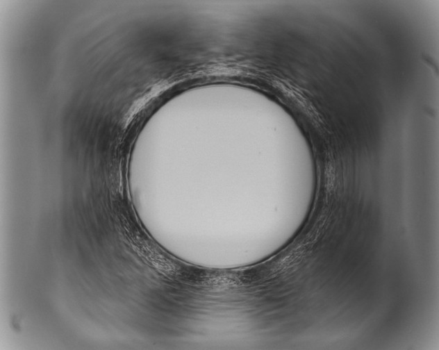 X0000100321262200806261218