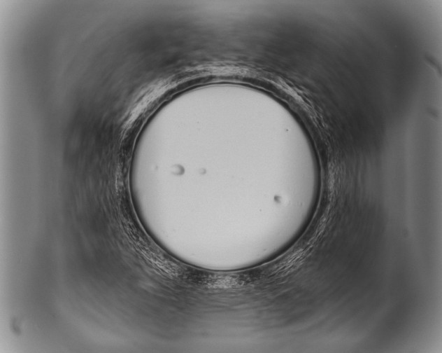 X0000100321263200806261218