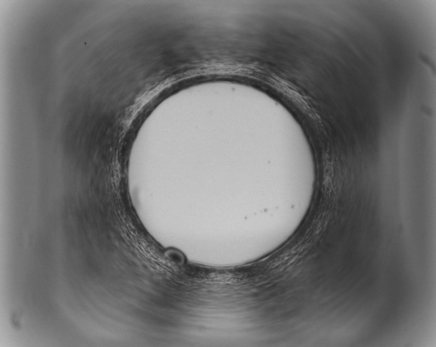 X0000100321264200806261218