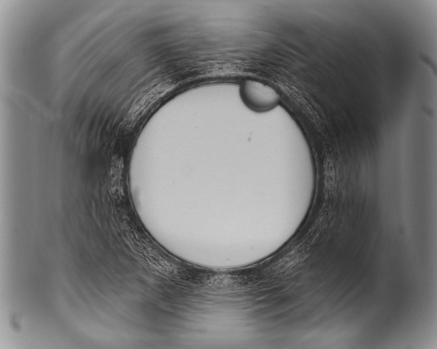 X0000100321265200806261218