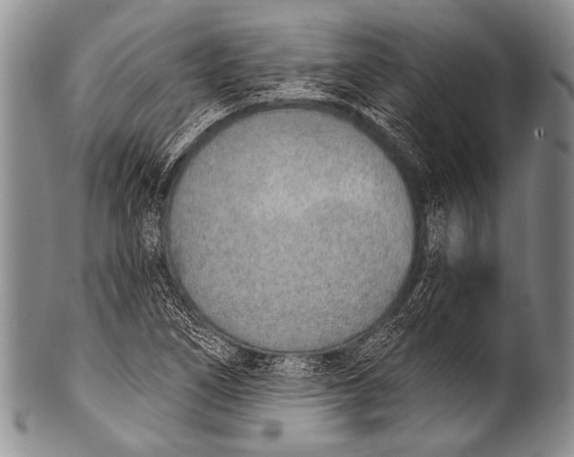 X0000100321266200806261218