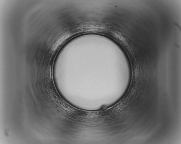 X0000100321267200806261218