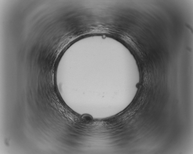 X0000100321268200806261218