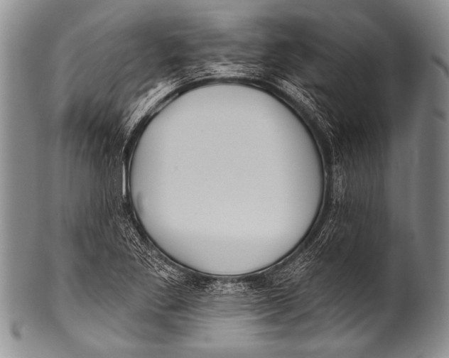 X0000100321269200806261218