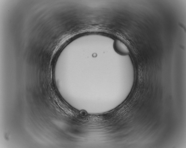 X0000100321270200806261218