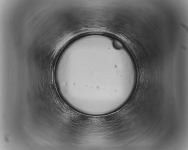 X0000100321271200806261218