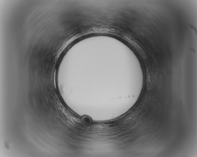 X0000100321272200806261218