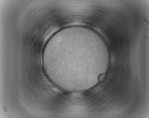 X0000100321274200806261218