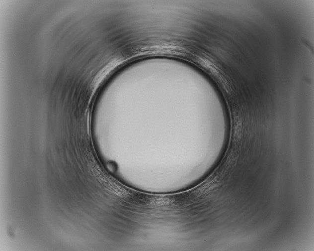 X0000100321275200806261218