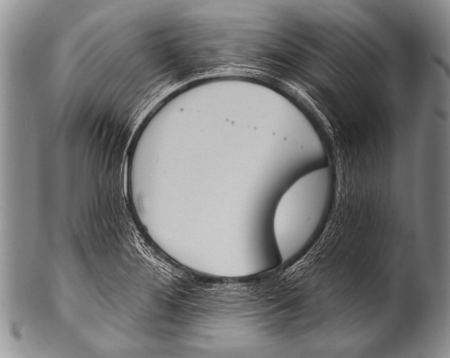 X0000100321276200806261218