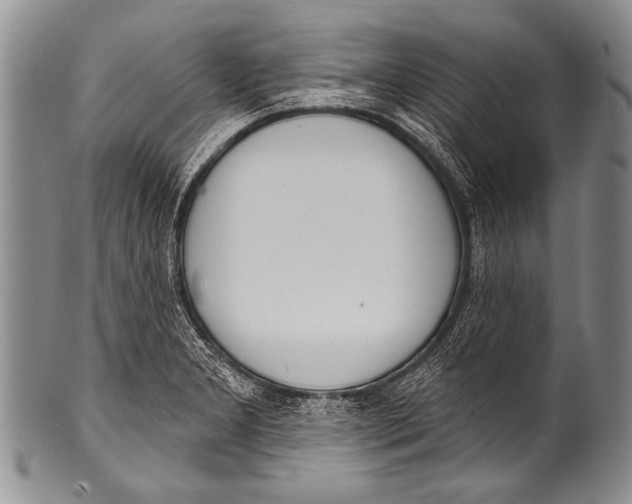 X0000100321277200806261218