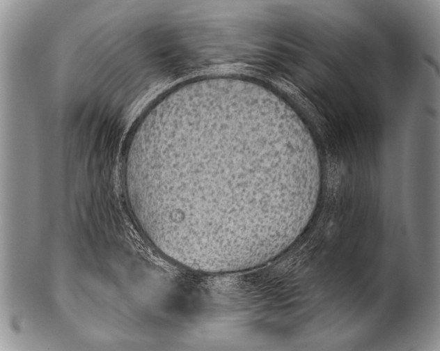 X0000100321278200806261218