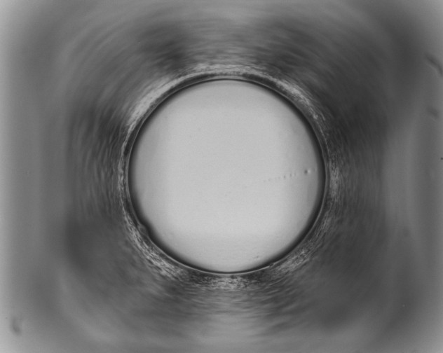 X0000100321279200806261218