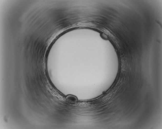 X0000100321280200806261218