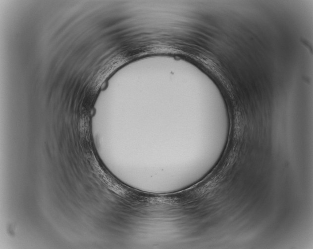 X0000100321281200806261218