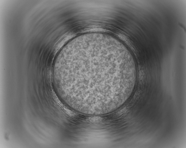 X0000100321282200806261218