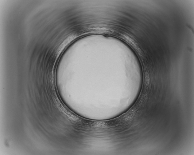 X0000100321283200806261218