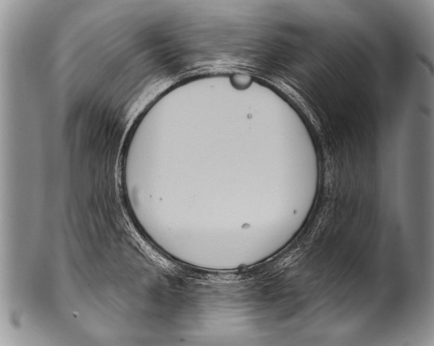 X0000100321285200806261218