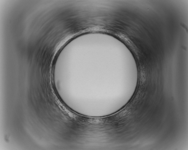 X0000100321286200806261218