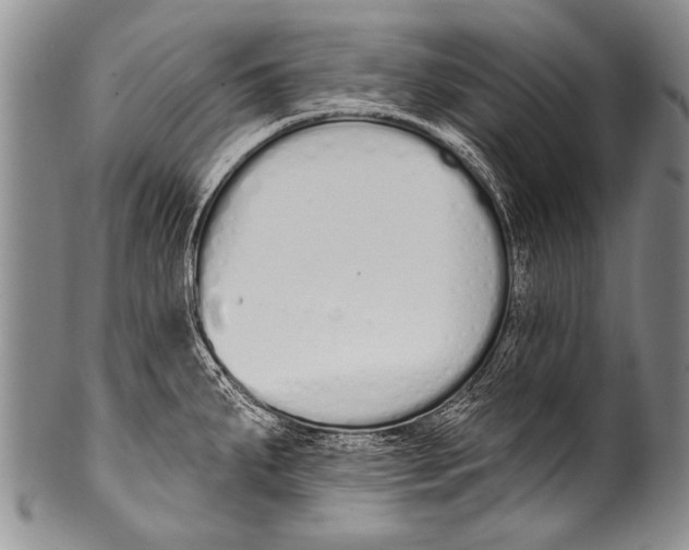 X0000100321287200806261218