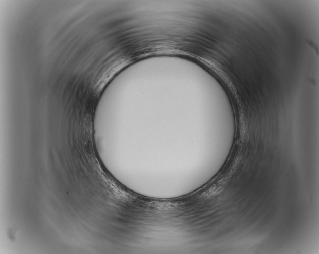 X0000100321289200806261218