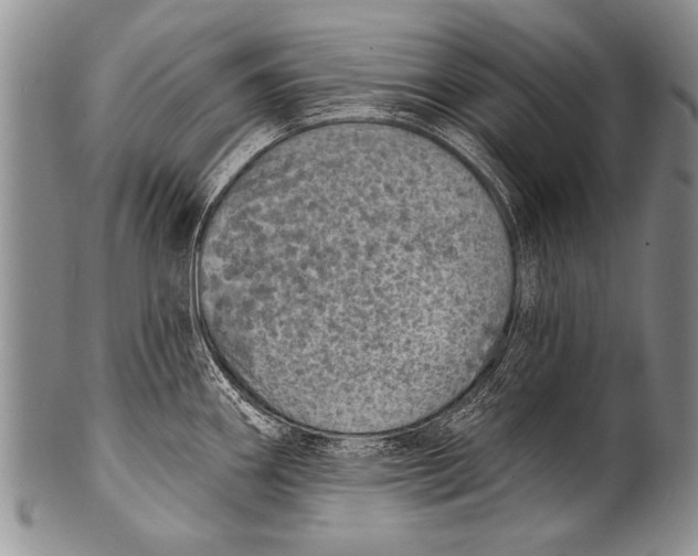 X0000100321290200806261218