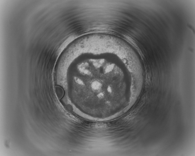 X0000100321291200806261218