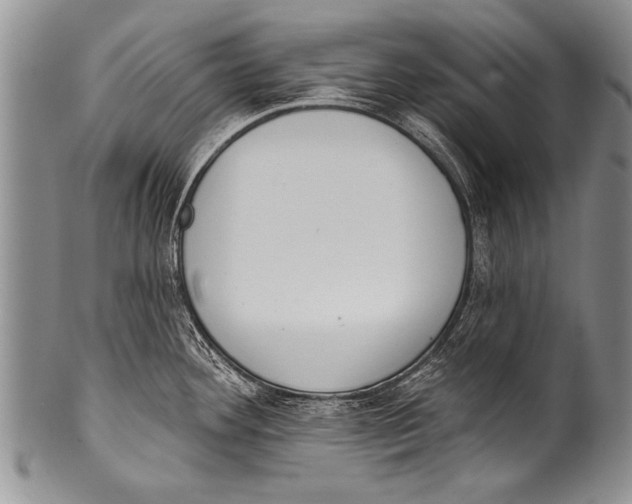 X0000100321292200806261217