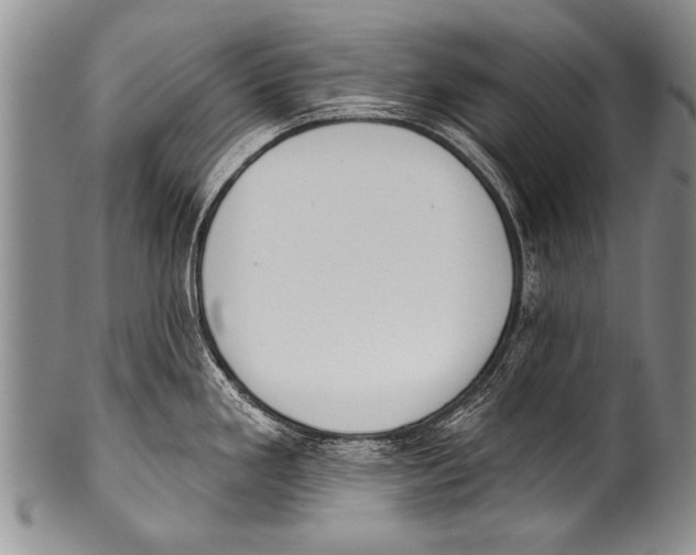 X0000100321293200806261217