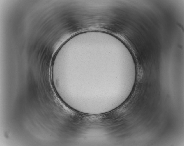 X0000100321294200806261217