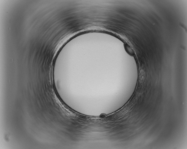 X0000100321295200806261217