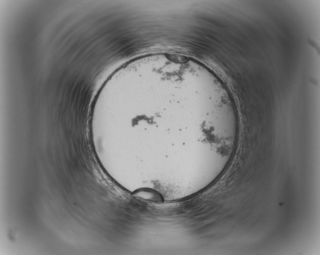 X0000100321296200806261217