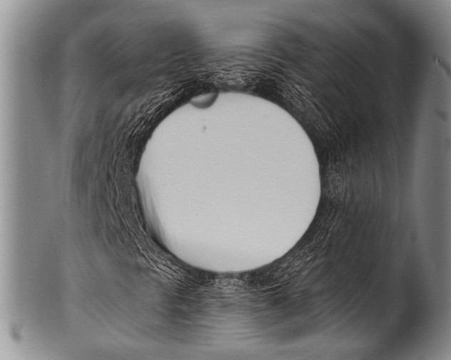 X0000100321297200806261217