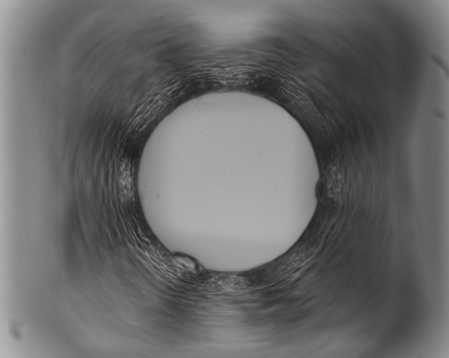 X0000100321298200806261217