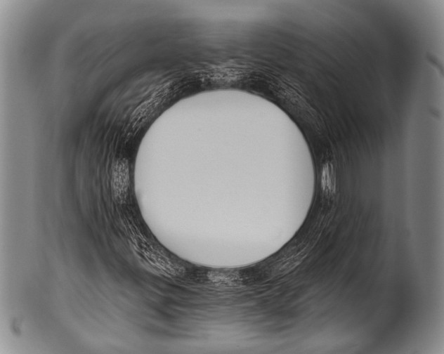 X0000100321299200806261217