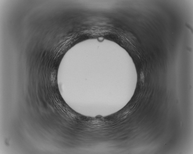 X0000100321300200806261217