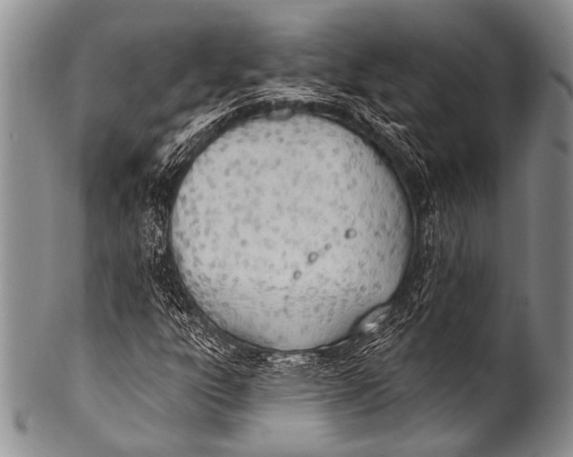 X0000100321303200806261217