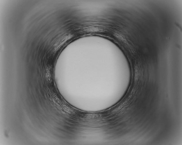 X0000100321305200806261217