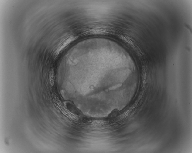 X0000100321306200806261217